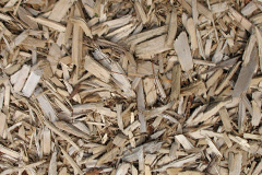 biomass boilers Ffos Y Ffin